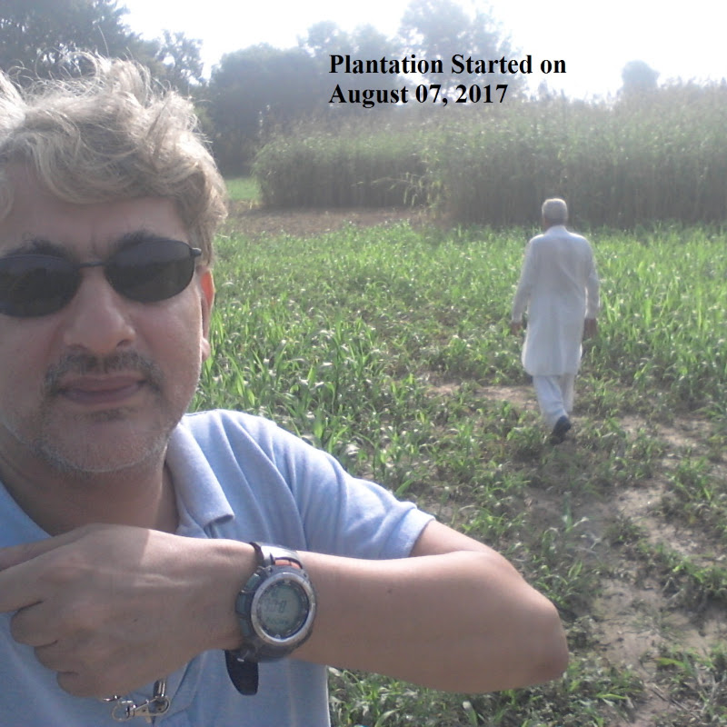 Exotic Fruit Forest and Wildlife Breeding Farm