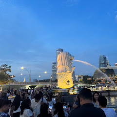 Visit Singapore アイコン画像