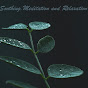 Soothing Meditation and Relaxation logo