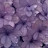 @جنااحمد-ج