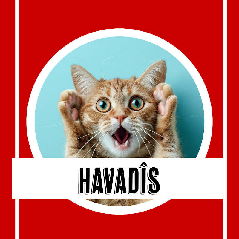 HAVADİS 