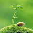 3LWc4A6jsyc-channel-avatar-QD Garden