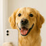 Ea-IEn0LHBI-channel-avatar-UrbanPaws