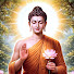 uINit1TfOg8-channel-avatar-ဓမ္မတရားတော်များ