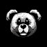 tQIl1jpDKOI-channel-avatar-beartheimage
