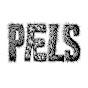 Pæls logo