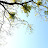 @브라이트-e6q