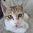 QDbeNIzIueI-channel-avatar-旅Danな