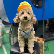 工場長あいな-オットリオ-