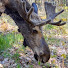 BX-a1eqySYA-channel-avatar-Outdoor Cams