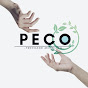 PECO’s MODELING-04のチャンネルアイコン
