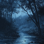 Dark Night Rain