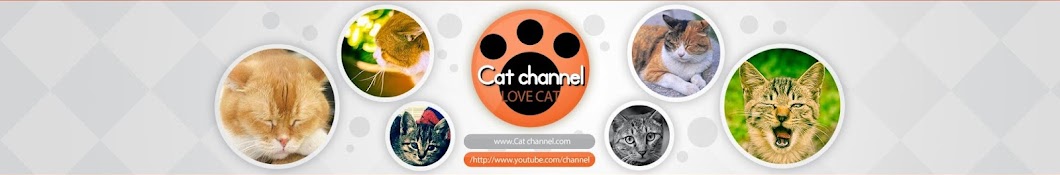 Cat channel YouTube 频道头像