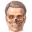 @MrTangent's avatar