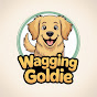 Wagging Goldie
