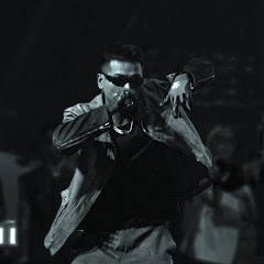 NPN-Official net worth