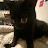 @n4t333 Avatar