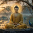 gSnAU0751iU-channel-avatar-Chậm Lại Giữa Đời