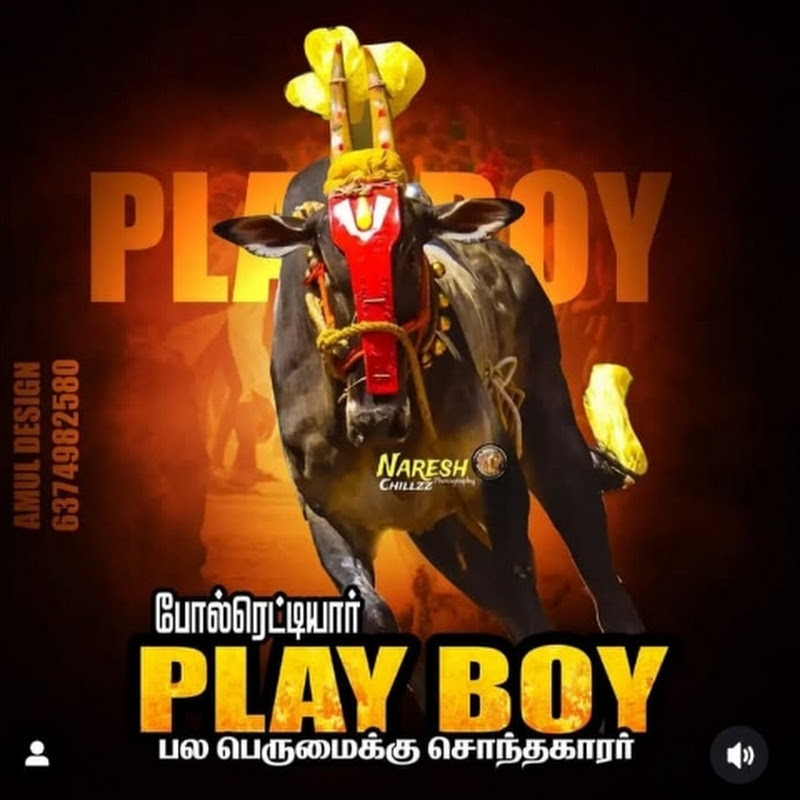 TN 24 கிருஷ்ணகிரி காளையின் காதலன்