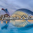 xsiCTaDsbEk-channel-avatar-Valencia Bella 4K 
