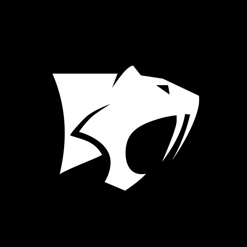 Saber Interactive
