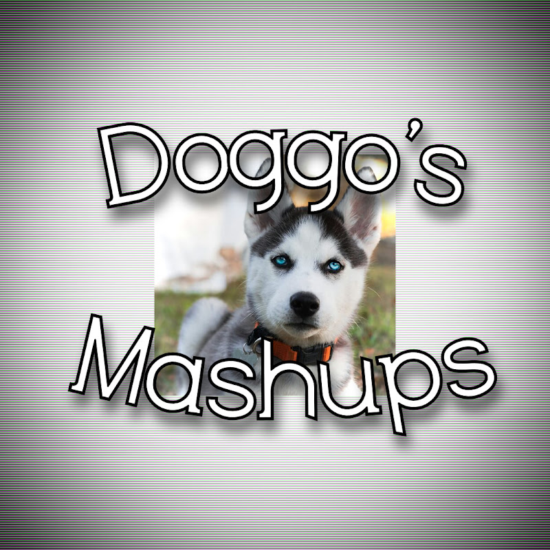 Doggo's Mashups