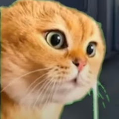 ナカボウ