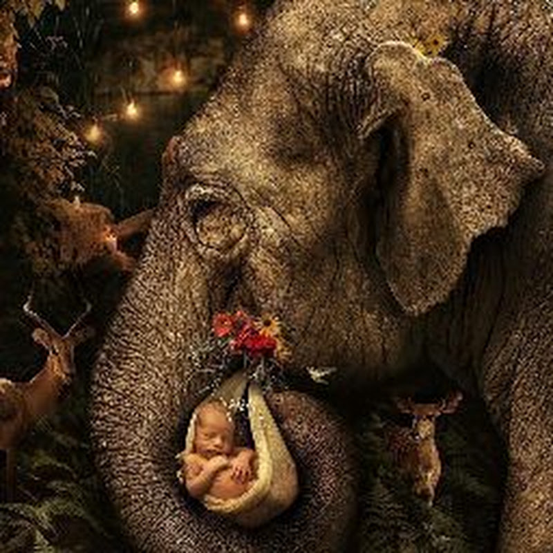 Mother Nature