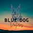 knYgCjwxgyo-channel-avatar-Blue Dog Ventures