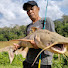 N4m2DjJNyNY-channel-avatar-Nizam Alias Fish On
