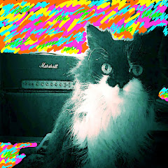 Marshall Ritter - Find Tokyo