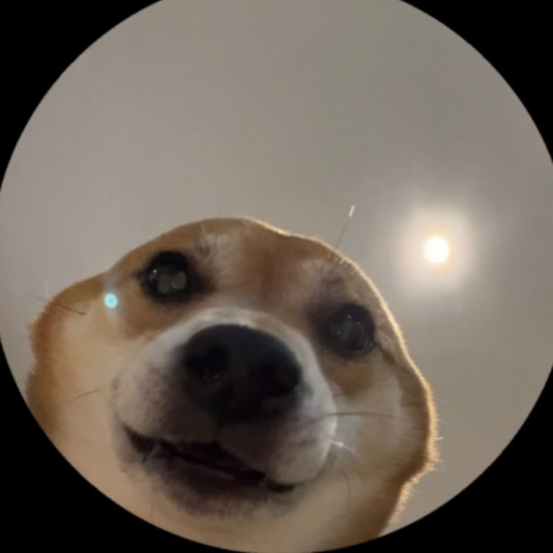 Seal Winnie