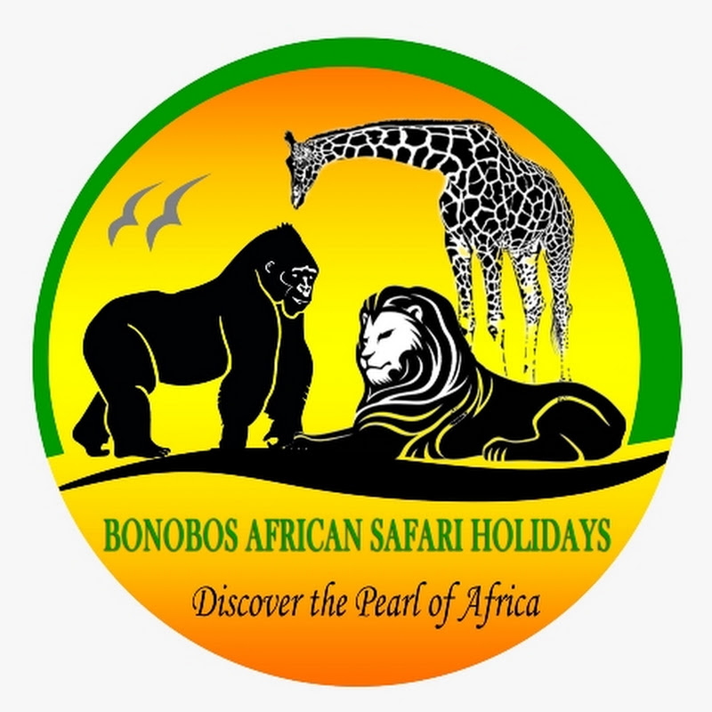 Bonobos African Safari Holidays channel avatar