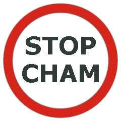 STOP CHAM net worth