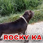 Rocky The Hunter  - @SalmanHaider-x7z - Youtube