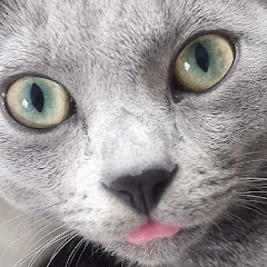 秀