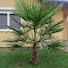 HQnswx_kgCg-channel-avatar-Robi04