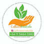 cultivos hidroponicos viva vida , cañuelas. logo
