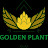 golden plant