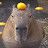 Capybara:)