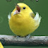 ndfnK8uLl30-channel-avatar-memes DT