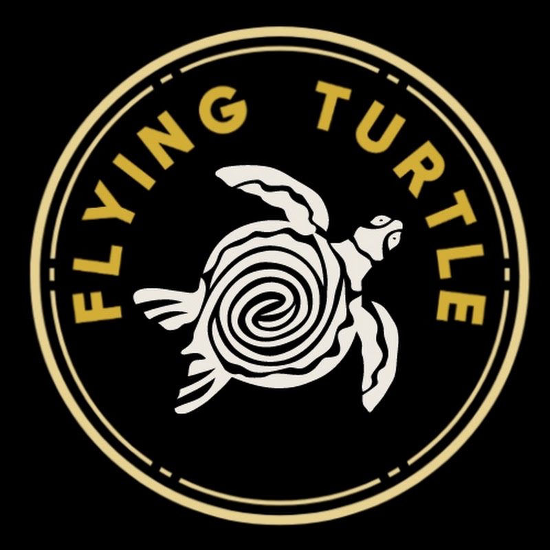 Flying Turtle Official