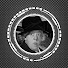 Jp65SA3Qf_g-channel-avatar-Miss Marple