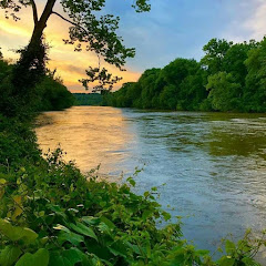 موسيقى هادئة