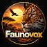 FMG7N-IFPSU-channel-avatar-Faunovox