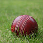 Cricket Related logo