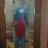 @Dahab1.564