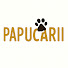 v4OVOzlU0aM-channel-avatar-Papucarii