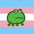 WYbqI2Zk9o4-channel-avatar-The_Trans_Frog