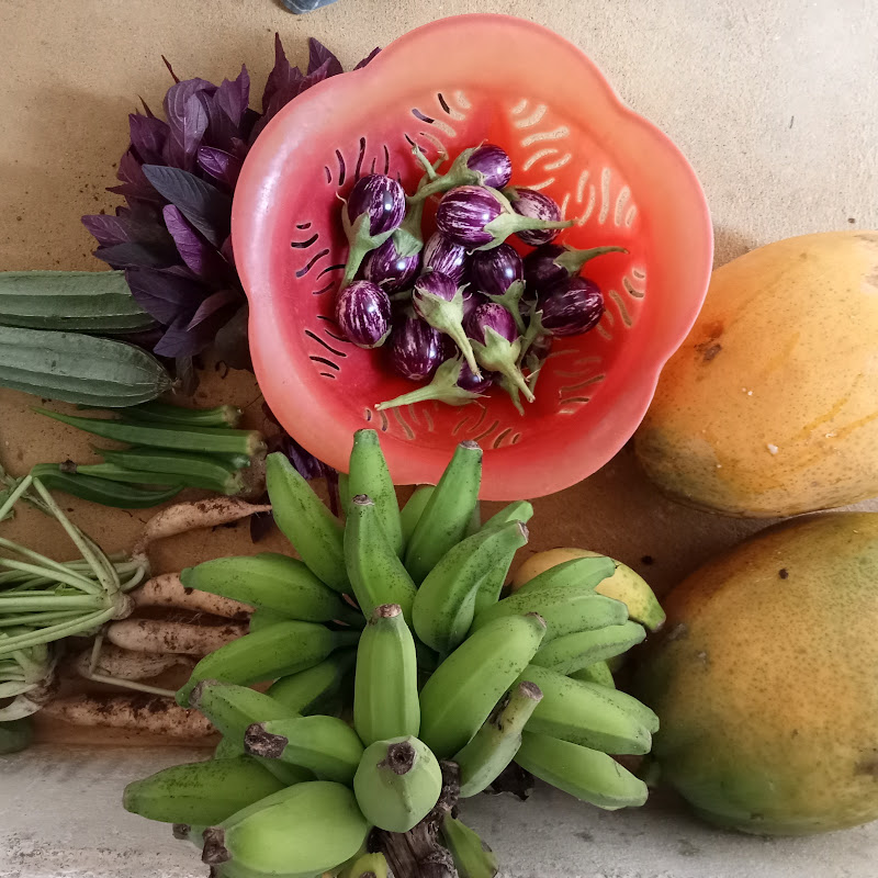 vettu thottam  vlogs